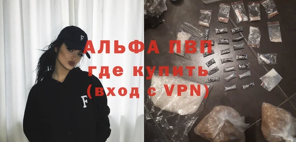 стаф Каменногорск