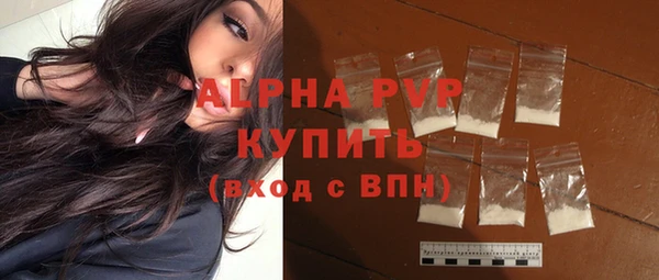 стаф Каменногорск