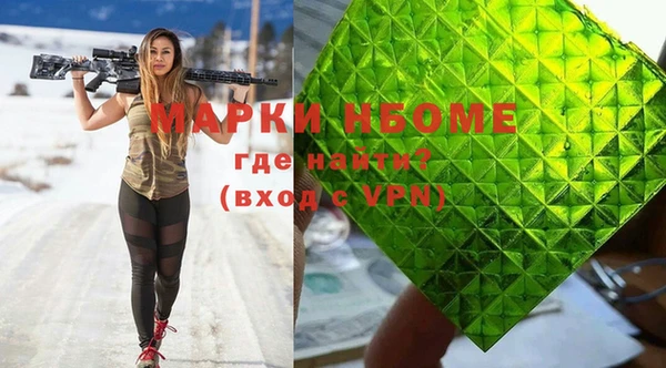 стаф Каменногорск